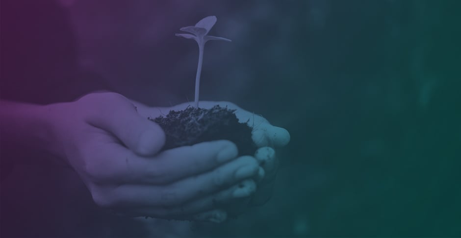 Responsabilidad Social Empresarial: estrategia de negocio