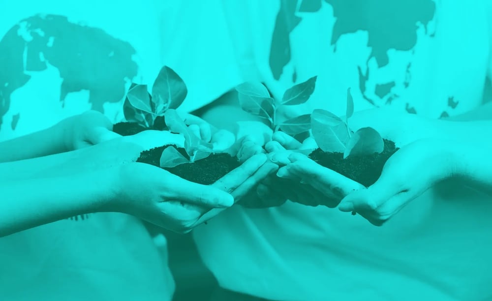 pexels-chevanon-photography-302902