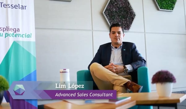 tesselar-el-martillo