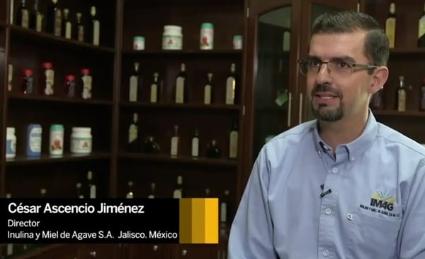 tesselar-inulina-y-miel-de-agave