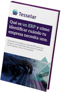 Qué es un ERP