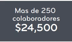 Gestión nom035 masde250 Gestión nom035 masde250