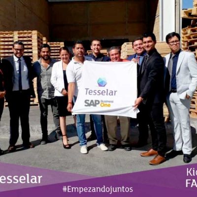 Implementación Tesselar - Fatami