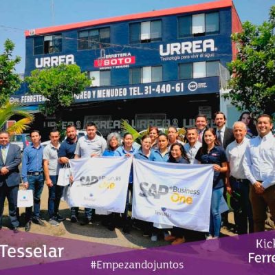 Implementación Tesselar - Ferresoto