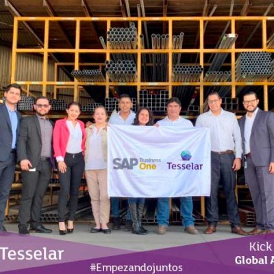 Implementación Tesselar - Global Aceros