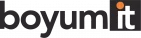 Logo Boyum It