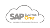 Sap Business One