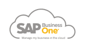 Sap B1 Cloud