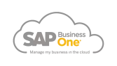 Sap B1 Cloud