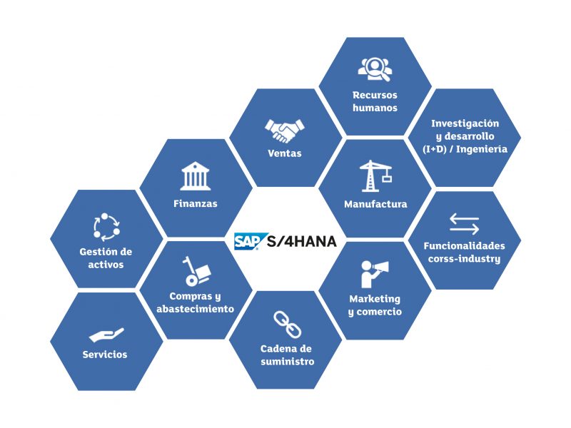 diagramas-SAP-_Mesa-de-trabajo-1-copia-800x600